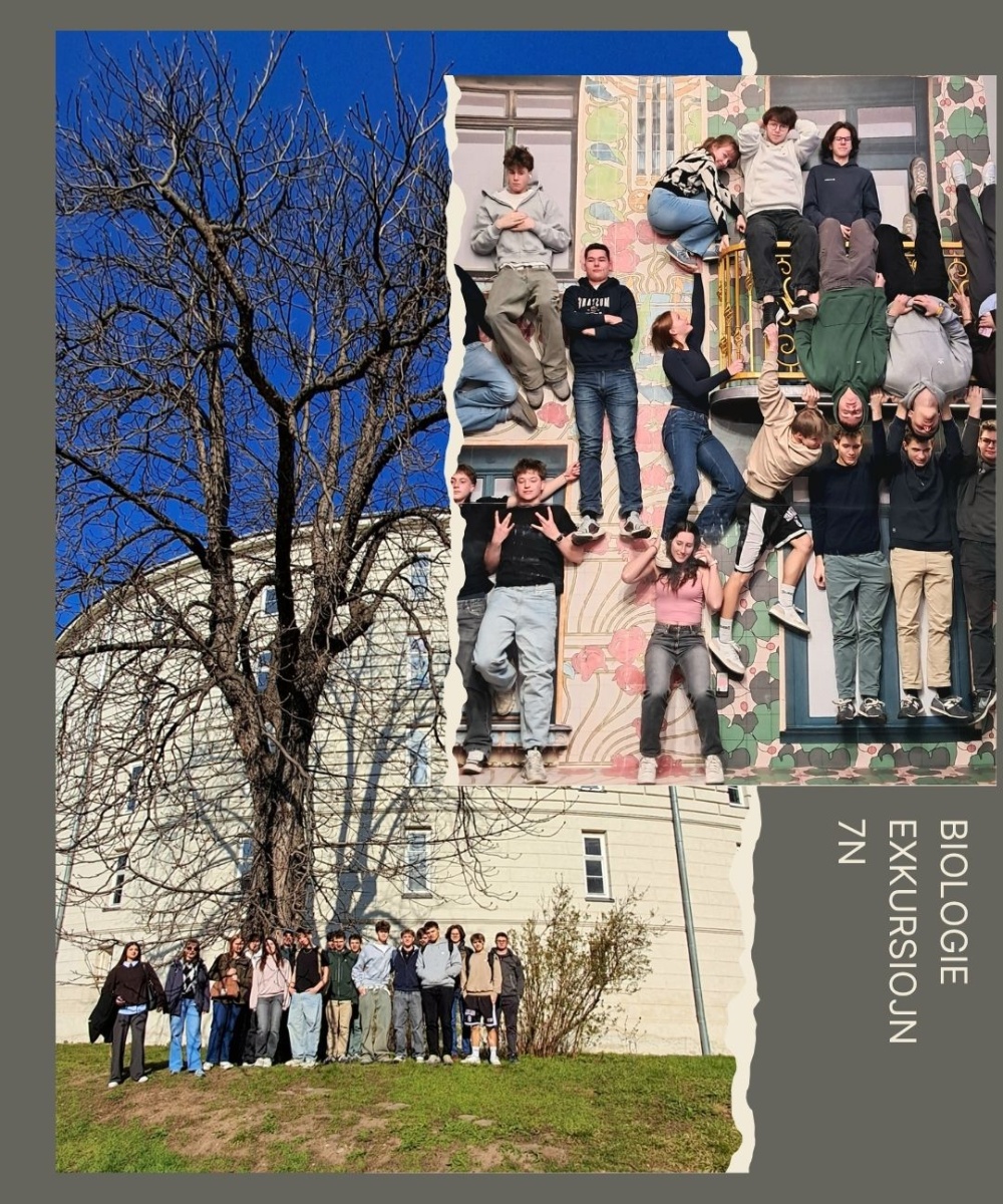 Foto: Collage Biologie-Exkursion 7N