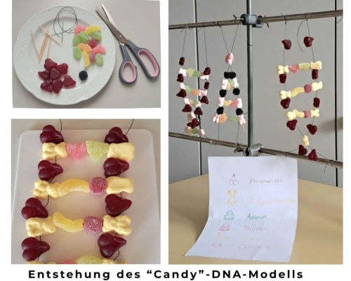 Collage: 3 Fotos zur Entstehung der "Candy"-DNA-Modelle