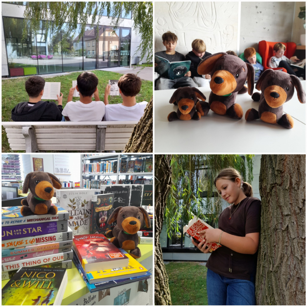 Teaserbild: Collage mit 4 Bildern in der Schulbibliothek