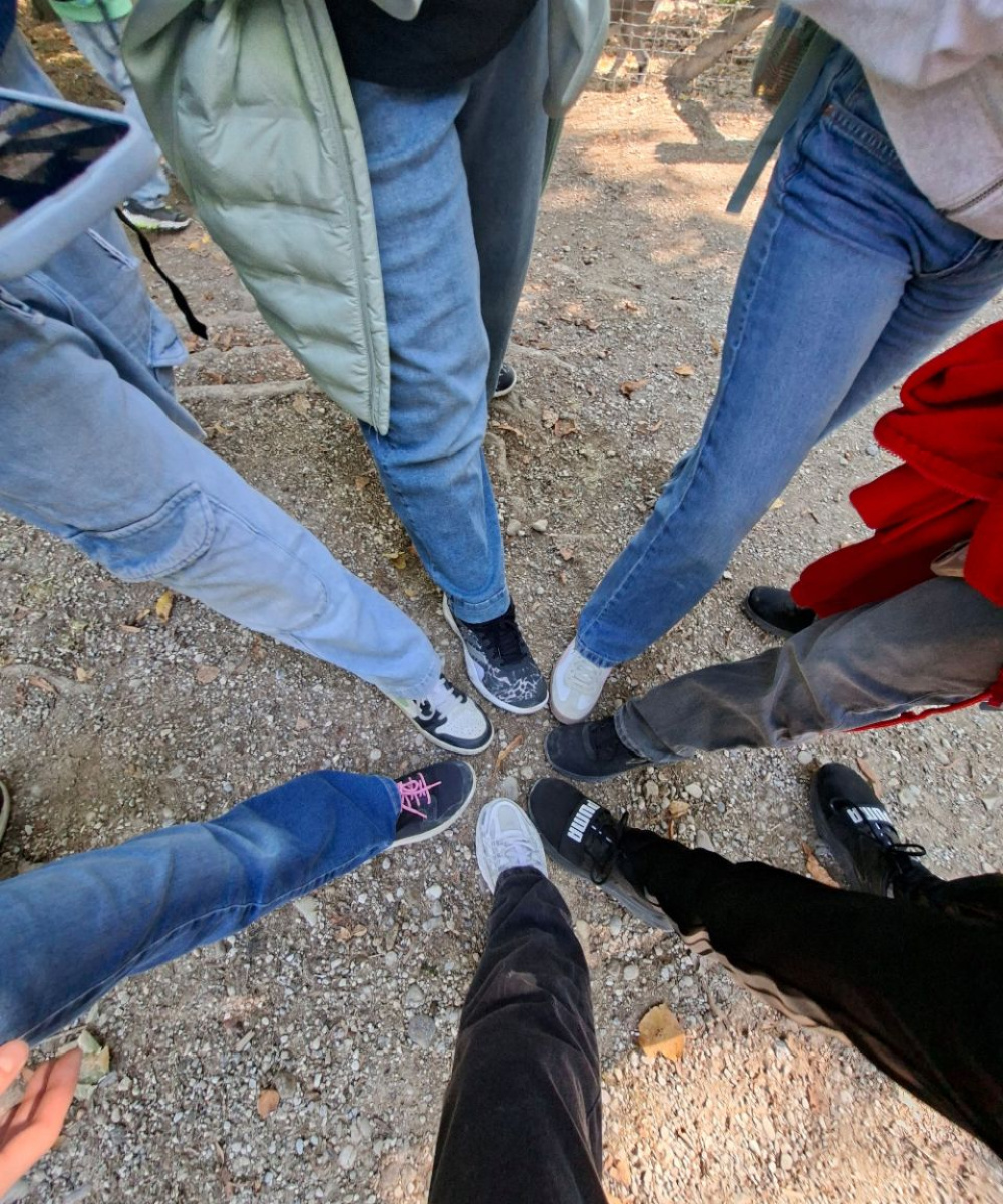 Foto: Teaserbild Wandertag 2026 - Fotochallenge Fu&szlig;kreis der 1A