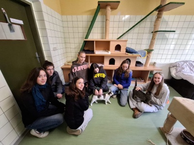 Foto: Ethikgruppen der 6. Klassen im Tierschutzhaus
