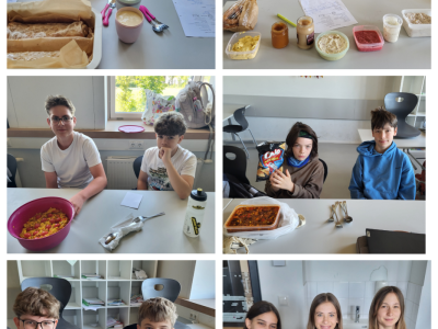 Foto:Collage Job-Shadowing Spanisch