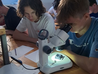 Foto: 7N Projektwoche Pula