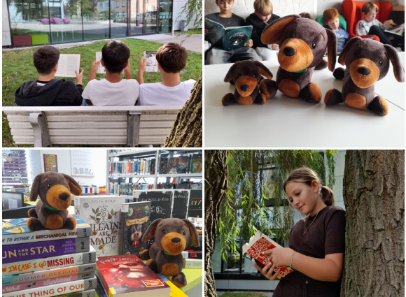 Teaserbild: Collage mit 4 Bildern in der Schulbibliothek