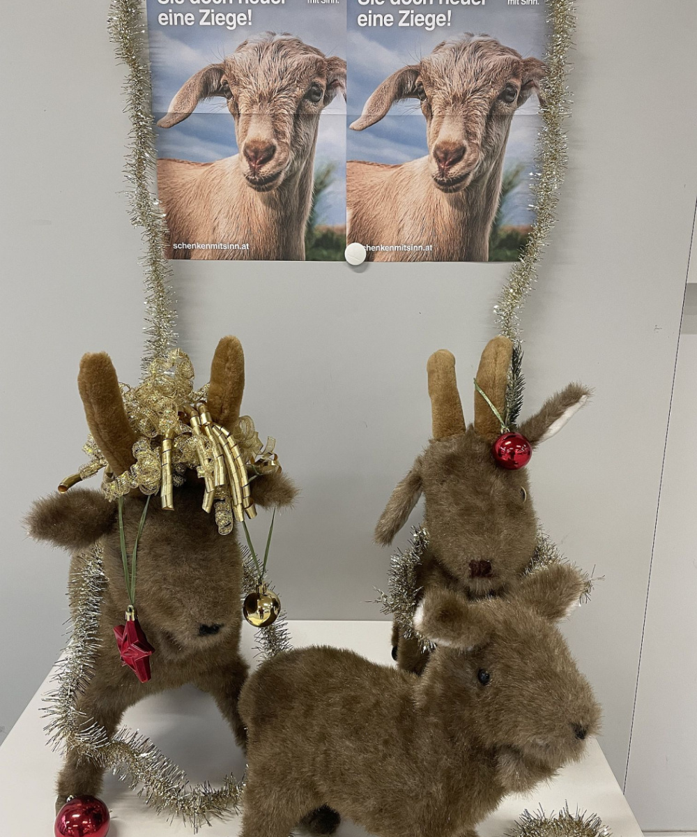Foto: Plakat Ziegen-Aktion