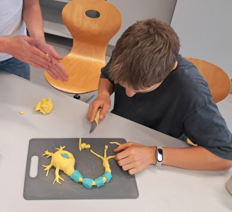 Foto: Veranschaulichung Nervenimpuls