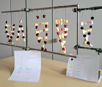 Bild 5: Ausgestellte "Candy"-DNA-Modelle im Bio-Saal