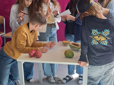 Foto: Project Day 1D