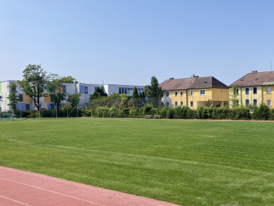 Foto: Rasenpflege