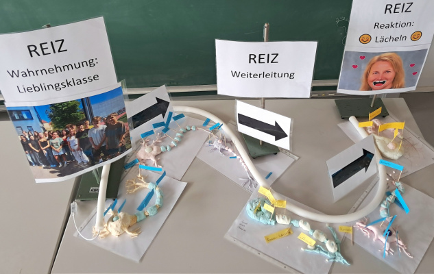 Foto: Veranschaulichung Nervenimpuls