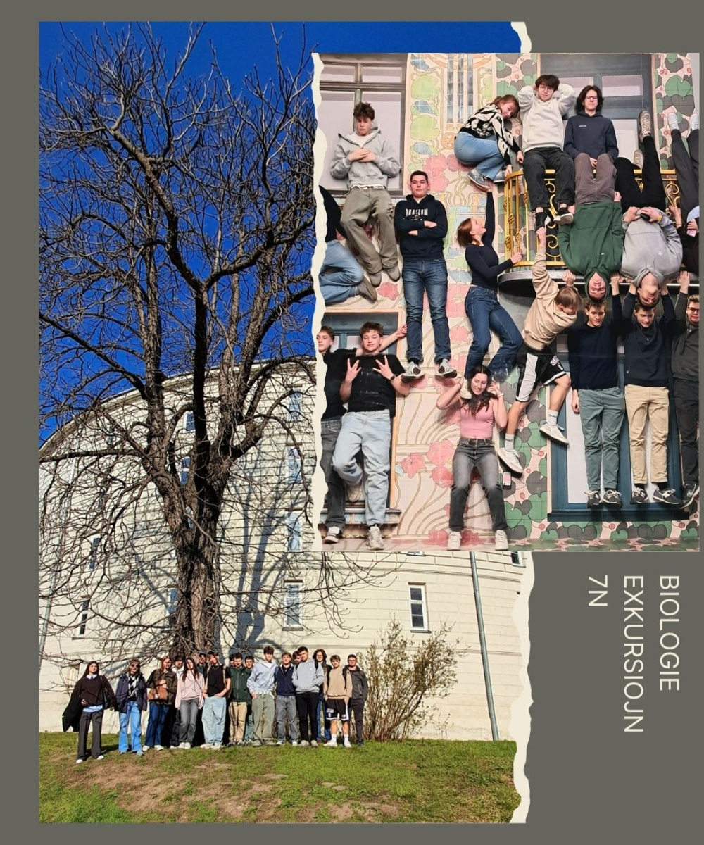 Foto: Collage Biologie-Exkursion 7N