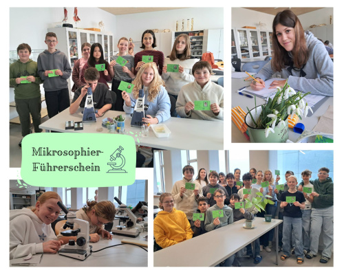 Foto: 3N1/3N2 Biologie-Labor
